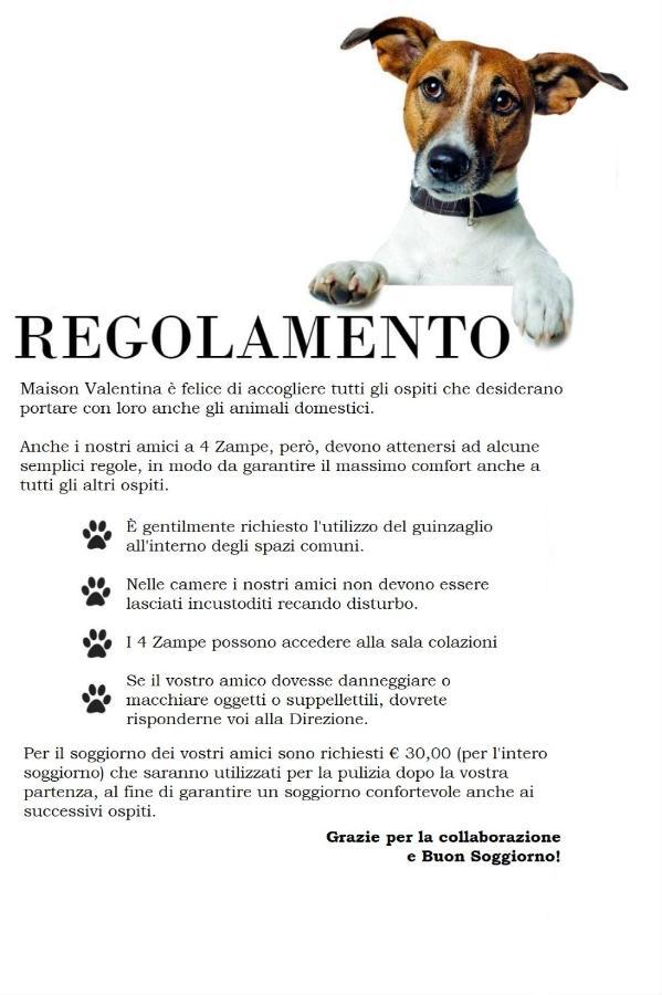 Maison Valentina